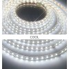 Led Strip Flexible 5M/Roll no Waterproof 12V Cold White